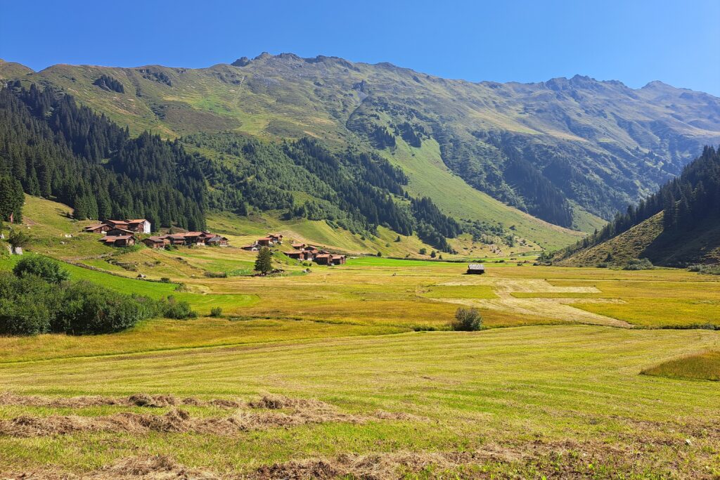 11.08.2025: Schlappinbach GR. Das Dörfchen Schlappin auf ca. 1650 m ü. M. oberhalb Klosters