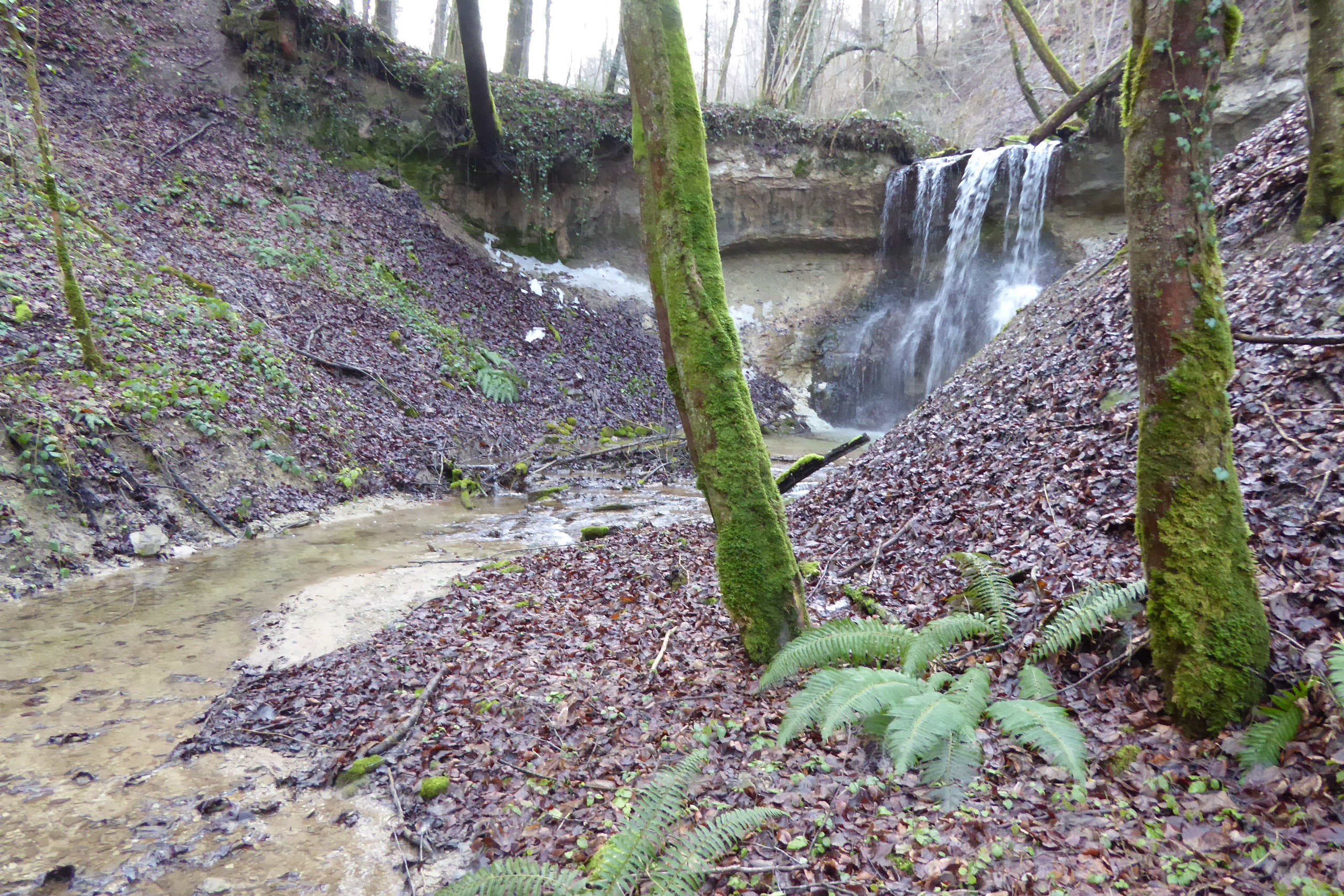 27.01.2016: Chesselbach, Glarisegg TG