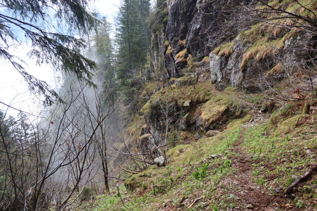 09.05.2025: Torrent de l'Echelle VS, der Wanderweg von Le Salantin her zum Bach