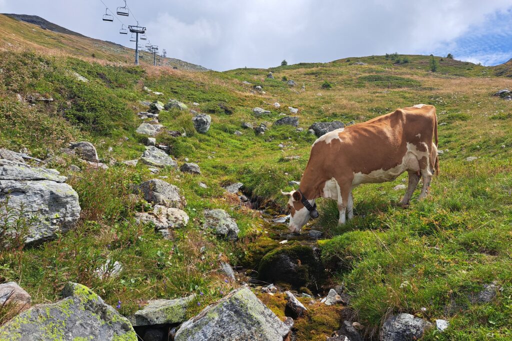 03.08.2025: La Manna, Val d'Hérens, VS, der Beginn ihres oberen Quellbachs