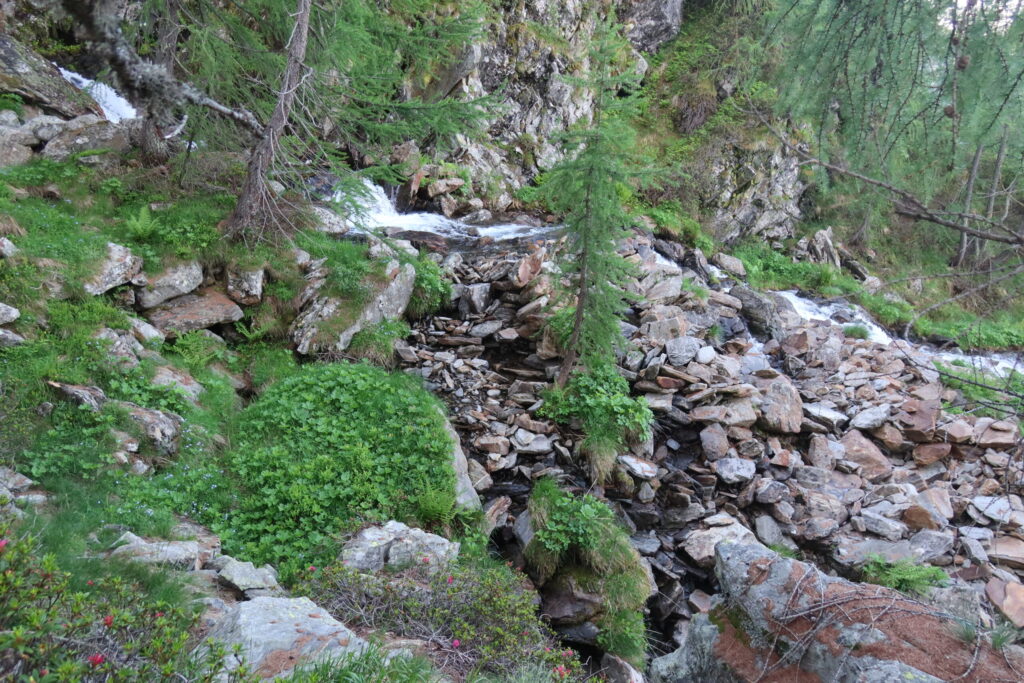 18.06.2024: Der Ri d'Agello TI wird (völlig natürlich) aus dem Ri di Mognòla abgezweigt!