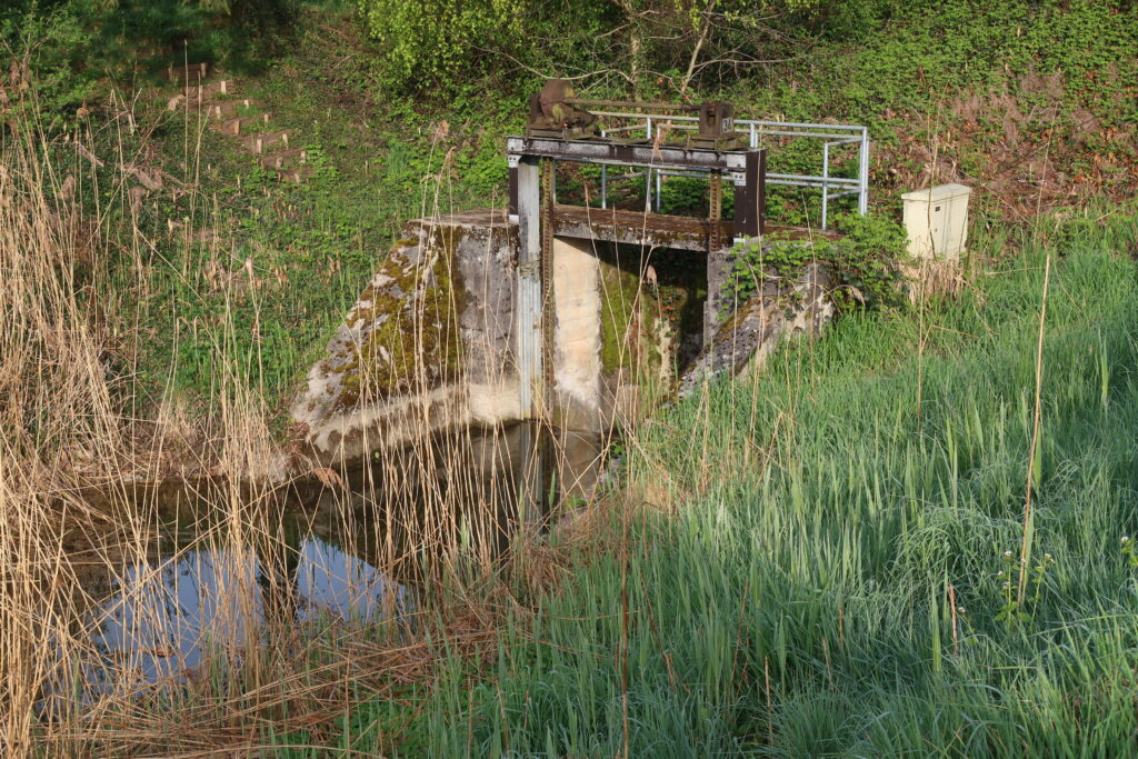 19.04.2025: der Mooskanal im Seeland BE verschwindet in seinem 770 Meter langen Tunnel gegen den Bielersee zu