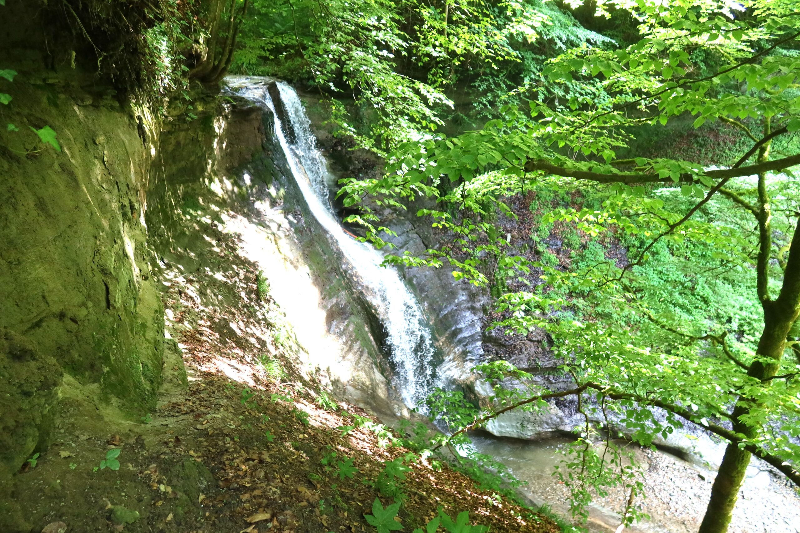 13.06.2025: Mutzbach BE, der 10 bis 12 m hohe Wasserfall, eine kleine geologische Sensation