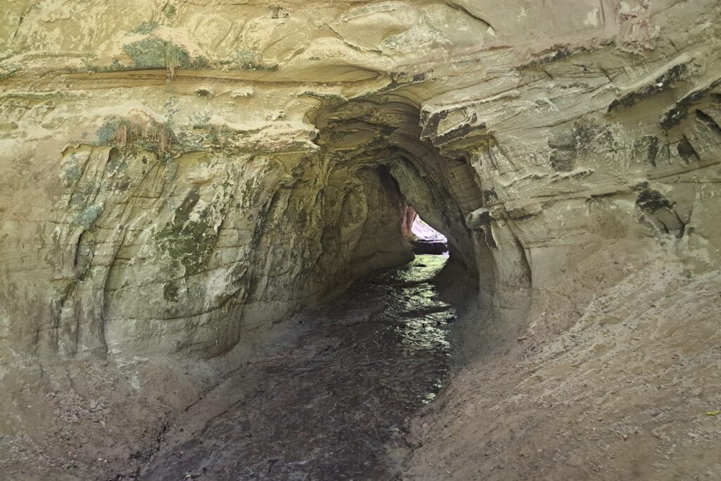 13.06.2025: Mutzbach, Der eindrückliche, angeblich natürliche Tunnel, wäre mit Gummistiefeln problemlos begehbar.