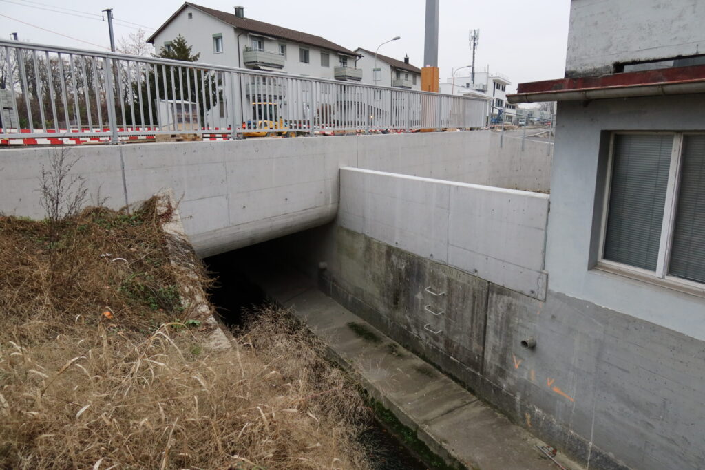 29.11.2020_ Schäflibach, Dietikon ZH, Abflussregime: pluvial inférieur, also mit geringen Abflussmengen, hauptsächlich durch Niederschläge beeinflusst. Der Bach unterquert die Zürcherstrasse