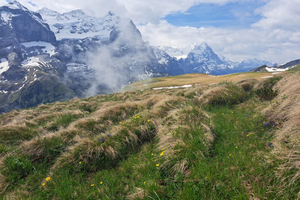 03.06.2025: Schiissbach, Weidespuren im obersten Einzugsgebiet des Bachs