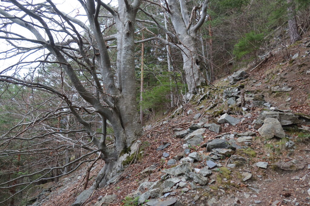 15.04.2025: Steiler Aufstieg entlang des Selderbachs, UR