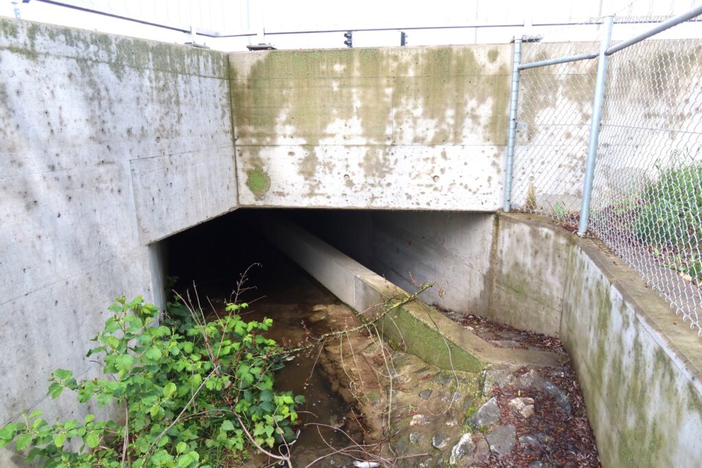 25.04.2025: Teischlibach, Der zweiteilige, etwa 75 m lange Durchlass