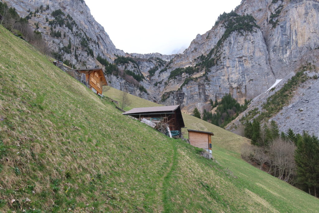 15.04.2025, Efitalberg, die oberste Alp am Efibach, UR