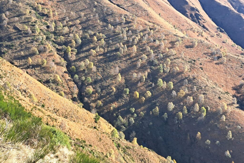 27.10.2025: Cassarate, Val Colla TI