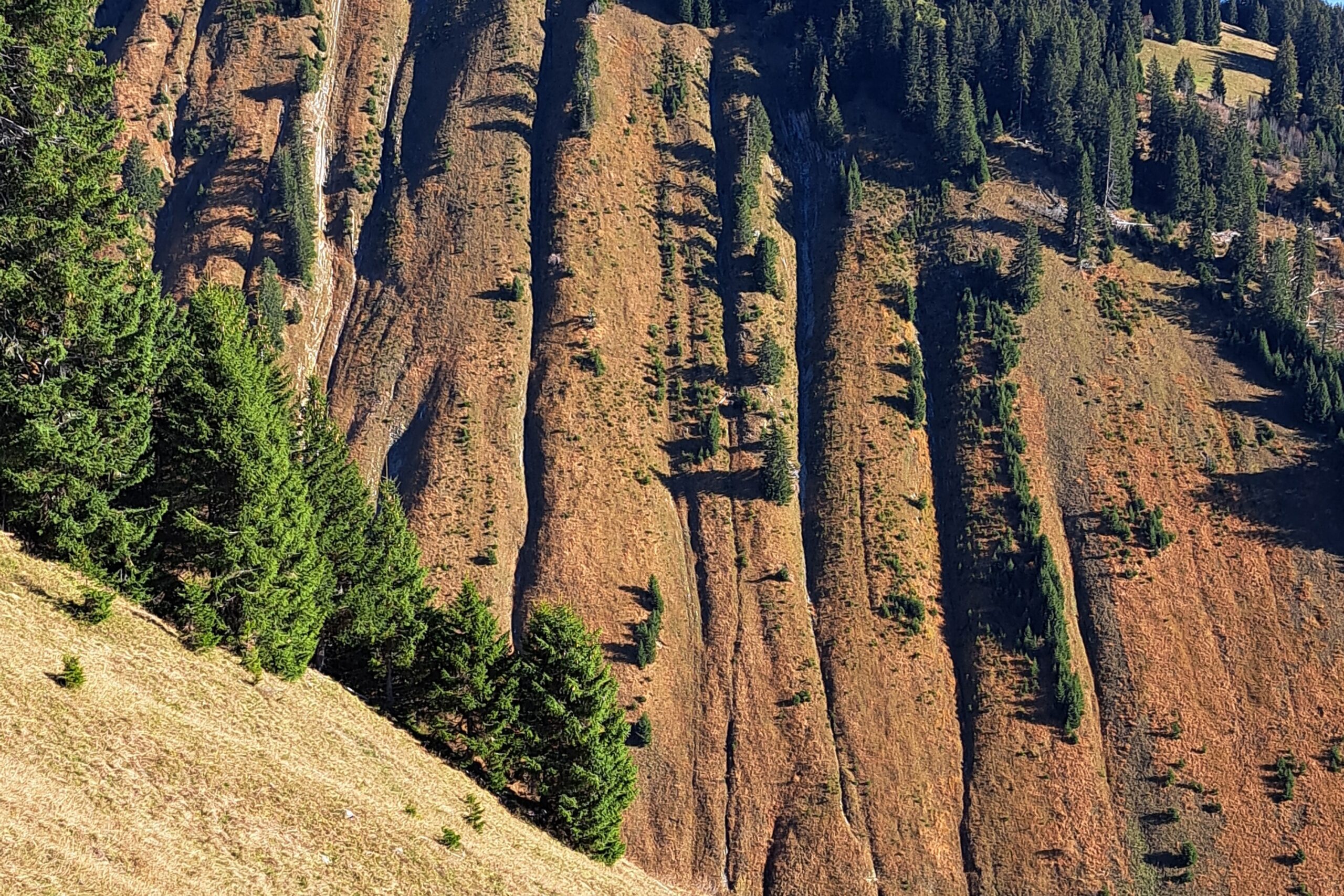 21.10.2024: Ruisseau des Fenils (Rougemont VD), die fantastische Erosionslandschaft am Südwesthang des Ameliers